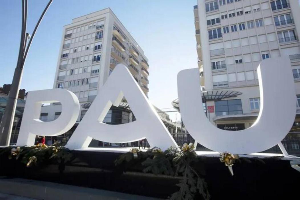 Cocon Palois Studio Cosy Dernier Etage Wifi Fibre Διαμέρισμα Pau Εξωτερικό φωτογραφία